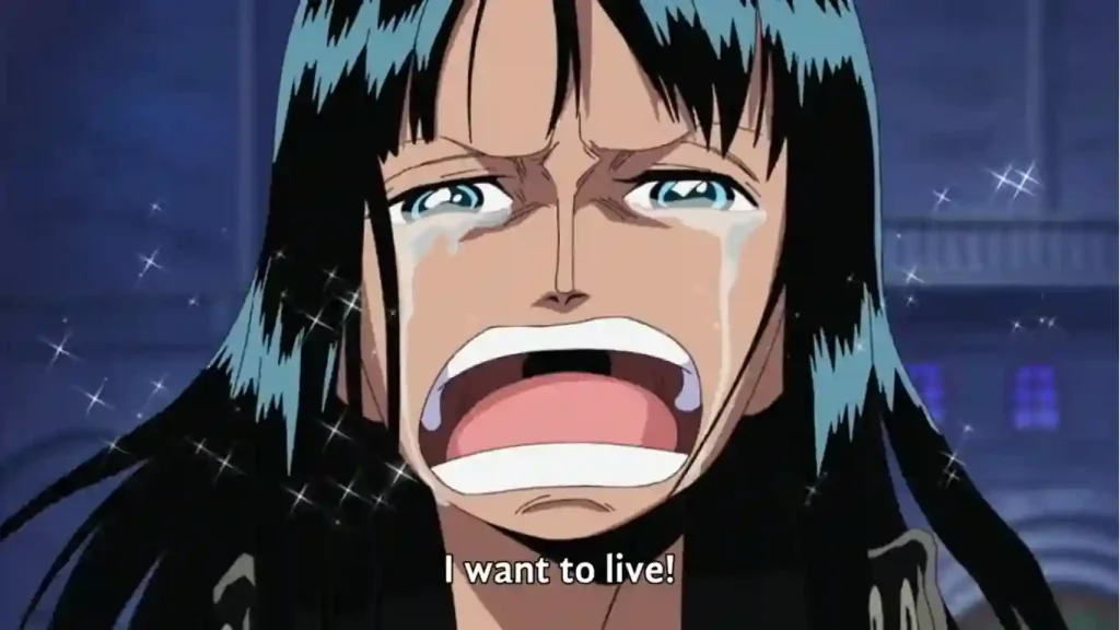 Who Does Luffy End Up With; Robin